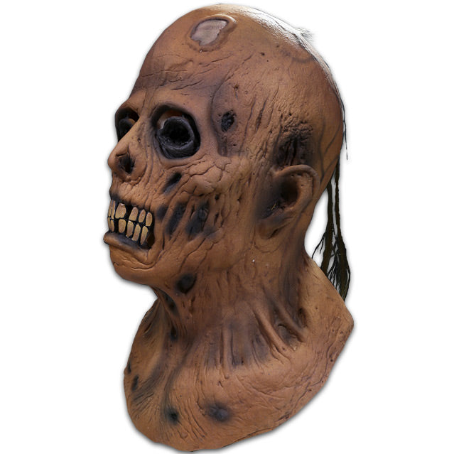EC Comics Collection Haunt of Fear Graham Ingels Zombie Mask