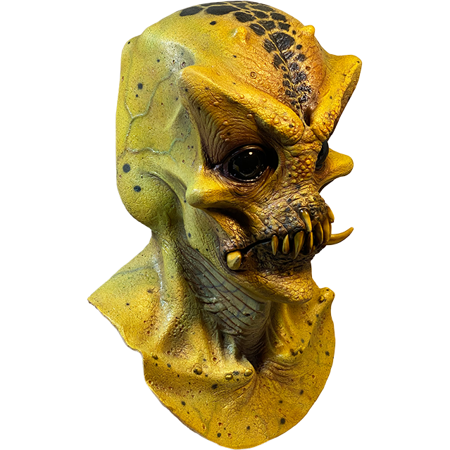 JORDU SCHELL COLLECTION - HYBRID Mask