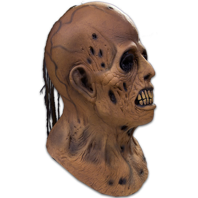 EC Comics Collection Haunt of Fear Graham Ingels Zombie Mask