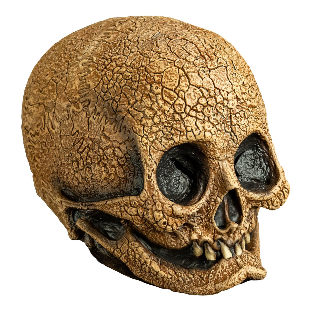Illusive Concepts - Cranial Skull Mask